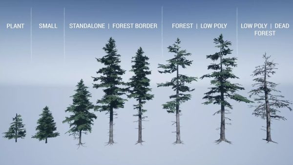 Mountain Trees - Dynamic Nature - Image 2